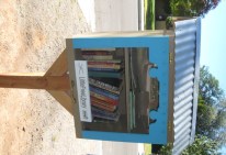 LittleFreeLibrary